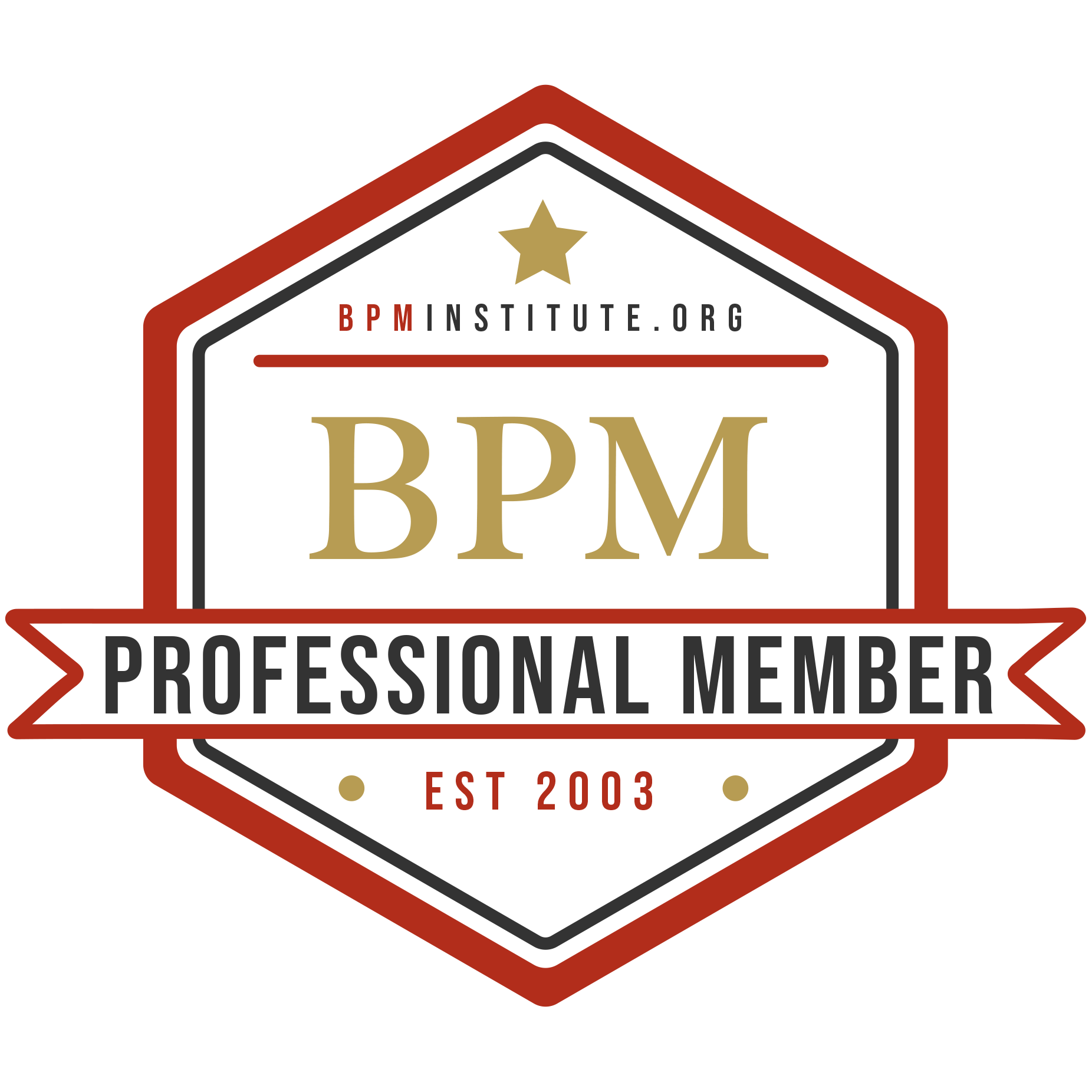 BPM-Professional-Member