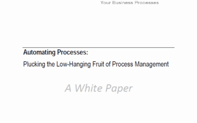 Automating Processes: Plucking the Low-Hanging Fruit of Process Management