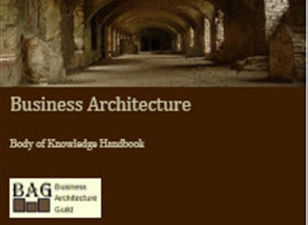 A Business Architecture Body of Knowledge