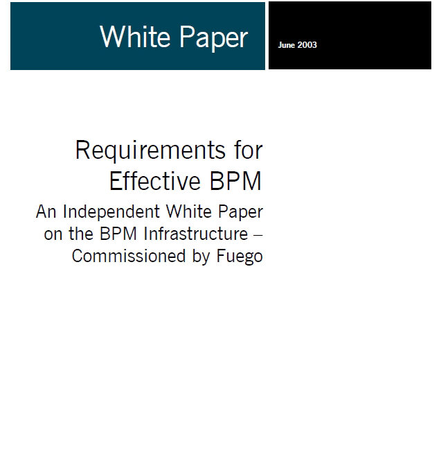 Requirements for Effective BPM – An Independent White Paper on the BPM Infrastructure