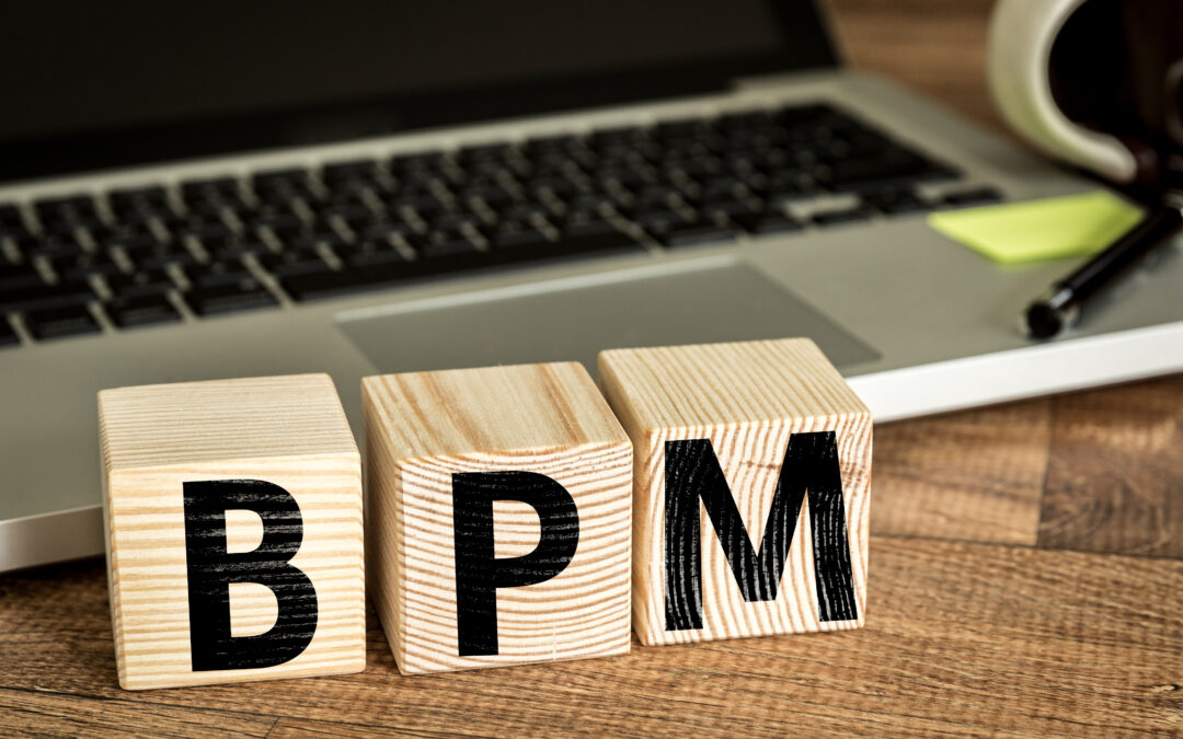 Perspectives of the Development of BPM